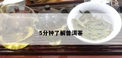 5分钟了解普洱茶