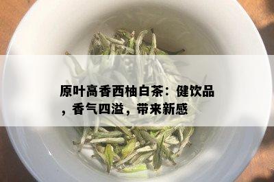 原叶高香西柚白茶：健饮品，香气四溢，带来新感