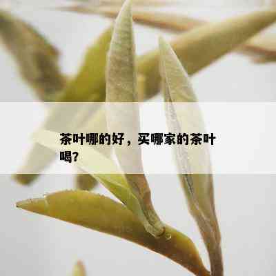 茶叶哪的好，买哪家的茶叶喝？