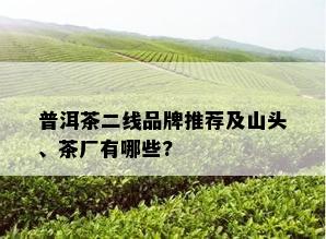 普洱茶二线品牌推荐及山头、茶厂有哪些?