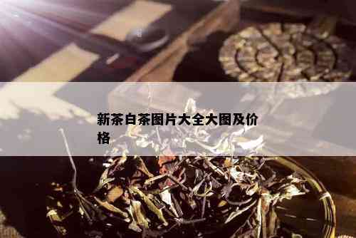 新茶白茶图片大全大图及价格