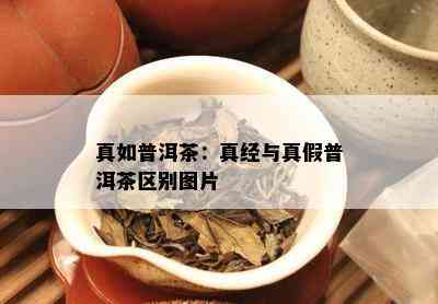 真如普洱茶：真经与真假普洱茶区别图片