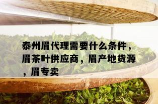 泰州眉代理需要什么条件，眉茶叶供应商，眉产地货源，眉专卖