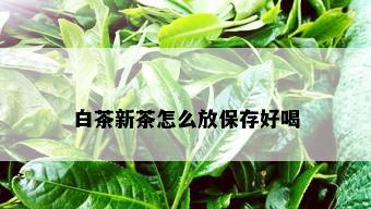 白茶新茶怎么放保存好喝