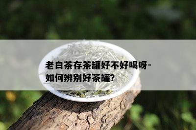 老白茶存茶罐好不好喝呀-如何辨别好茶罐？