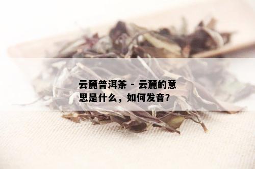 云麓普洱茶 - 云麓的意思是什么，如何发音？