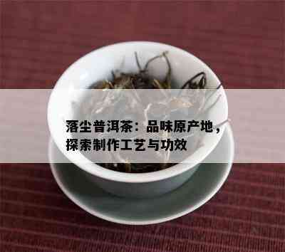 落尘普洱茶：品味原产地，探索制作工艺与功效