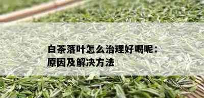 白茶落叶怎么治理好喝呢：原因及解决方法