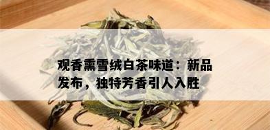 观香熏雪绒白茶味道：新品发布，独特芳香引人入胜