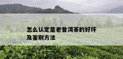 怎么认定是老普洱茶的好坏及鉴别方法