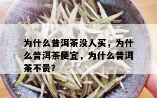 为什么普洱茶没人买，为什么普洱茶便宜，为什么普洱茶不贵？