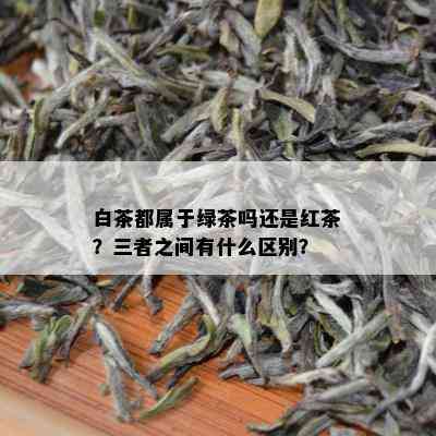 白茶都属于绿茶吗还是红茶？三者之间有什么区别？