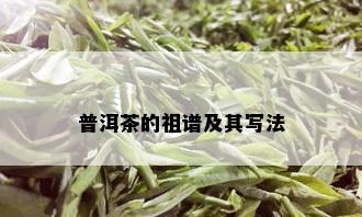 普洱茶的祖谱及其写法