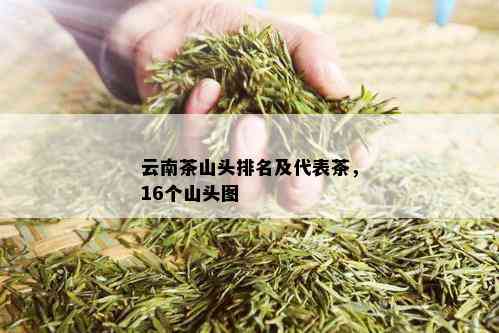 云南茶山头排名及代表茶，16个山头图