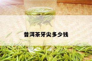 普洱茶牙尖多少钱