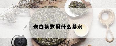 老白茶煮用什么茶水