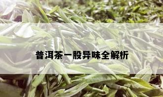 普洱茶一股异味全解析