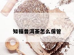 知福普洱茶怎么保管