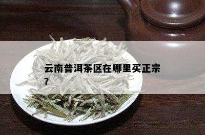 云南普洱茶区在哪里买正宗？