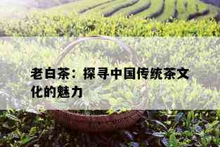 老白茶：探寻中国传统茶文化的魅力