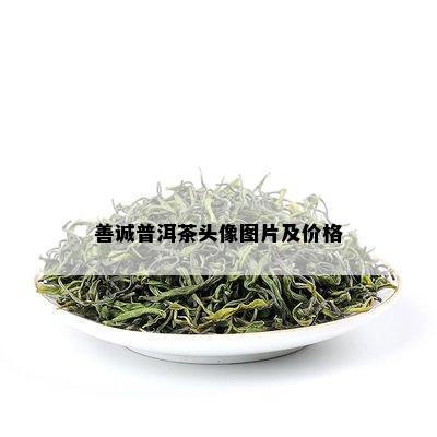 善诚普洱茶头像图片及价格