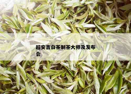 超安吉白茶制茶大师及发布会