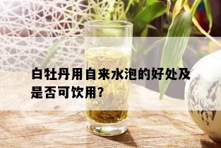 白牡丹用自来水泡的好处及是否可饮用？