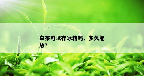 白茶可以存冰箱吗，多久能放？