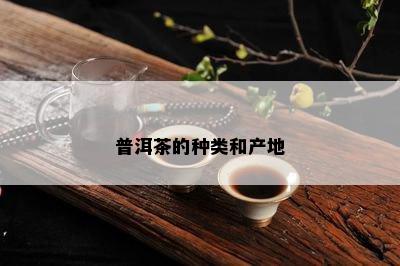 普洱茶的种类和产地