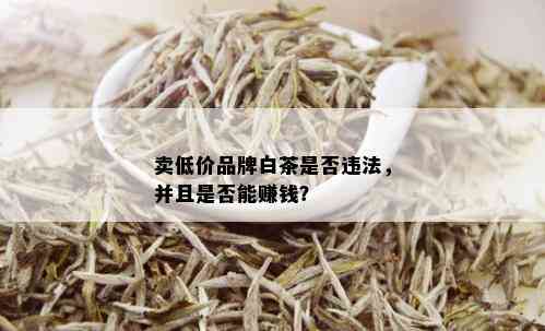 卖低价品牌白茶是否违法，并且是否能赚钱？