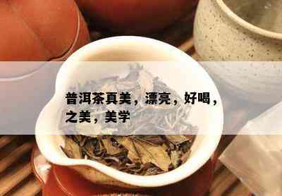 普洱茶真美，漂亮，好喝，之美，美学