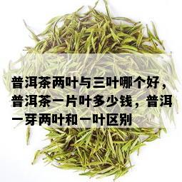 普洱茶两叶与三叶哪个好，普洱茶一片叶多少钱，普洱一芽两叶和一叶区别