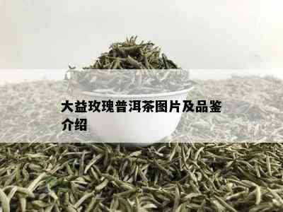 大益玫瑰普洱茶图片及品鉴介绍