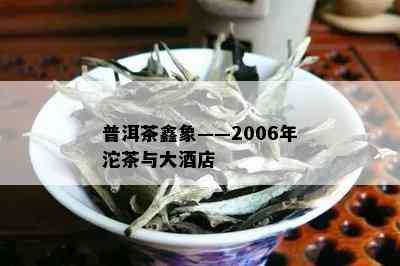 普洱茶鑫象——2006年沱茶与大店