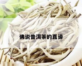 佛说普洱茶的真谛