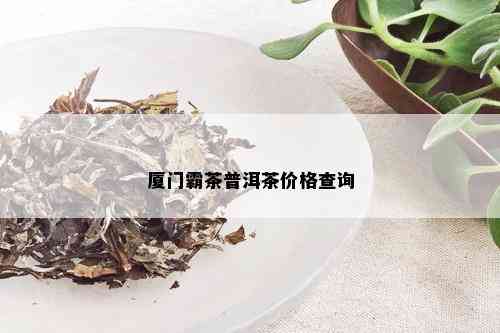 厦门霸茶普洱茶价格查询