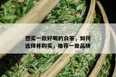 想买一款好喝的白茶，如何选择并购买，推荐一些品牌