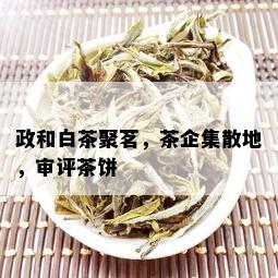 政和白茶聚茗，茶企集散地，审评茶饼