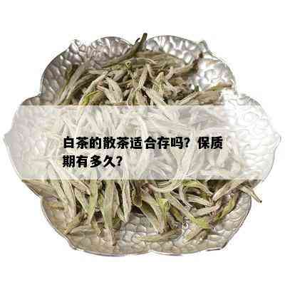 白茶的散茶适合存吗？保质期有多久？