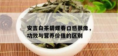 安吉白茶碧螺春口感很像，功效与营养价值的区别