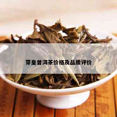 芽皇普洱茶价格及品质评价