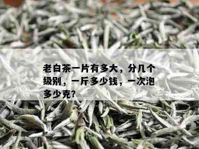 老白茶一片有多大，分几个级别，一斤多少钱，一次泡多少克？