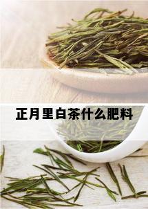 正月里白茶什么肥料