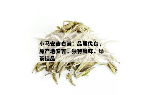 小马安吉白茶：品质优良，原产地安吉，独特风味，绿茶佳品