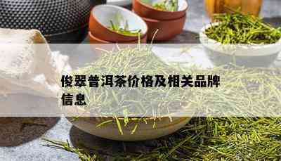 俊翠普洱茶价格及相关品牌信息