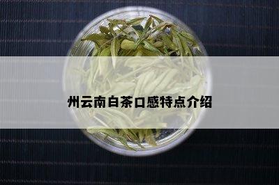 州云南白茶口感特点介绍