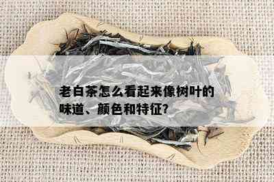 老白茶怎么看起来像树叶的味道、颜色和特征？