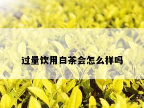 过量饮用白茶会怎么样吗