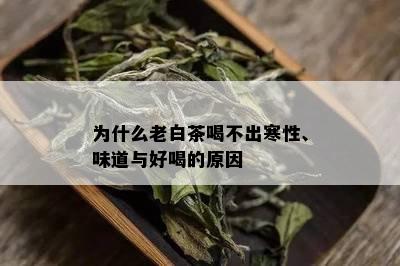 为什么老白茶喝不出寒性、味道与好喝的原因