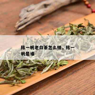 陈一帆老白茶怎么样，陈一帆是谁